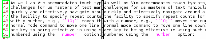 Vim Numbering